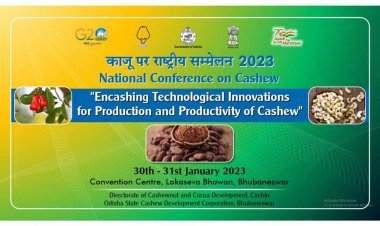 Emphasizing on potential of Cashew while utilising technology, Odisha State Cashew Development Corporation under Krushi Bibhag,