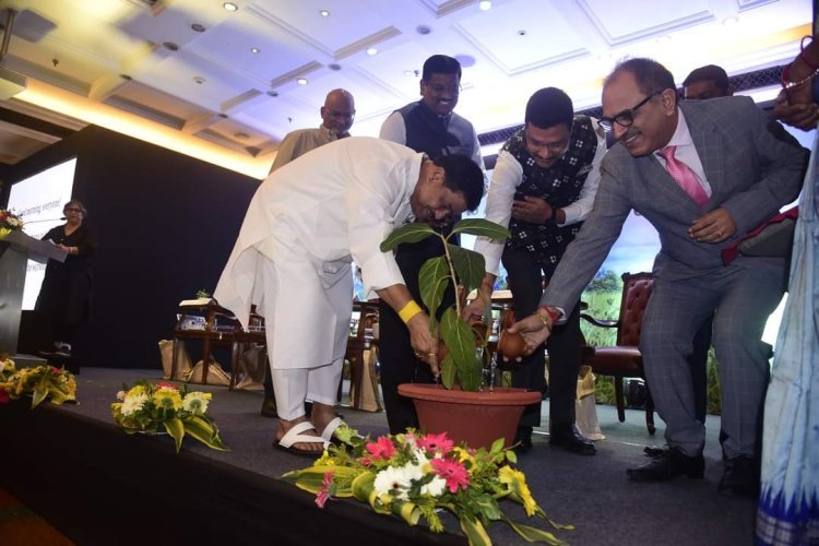 Workshop on Systems Approach to Agriculture and Pathways for Action