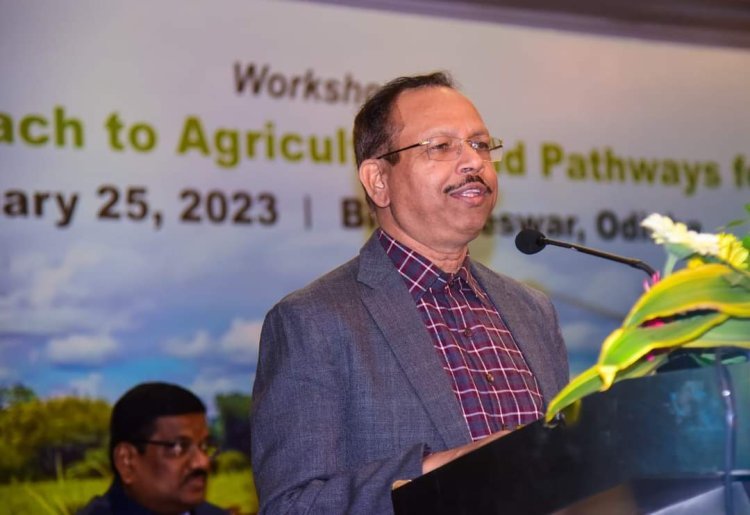 Workshop on Systems Approach to Agriculture and Pathways for Action
