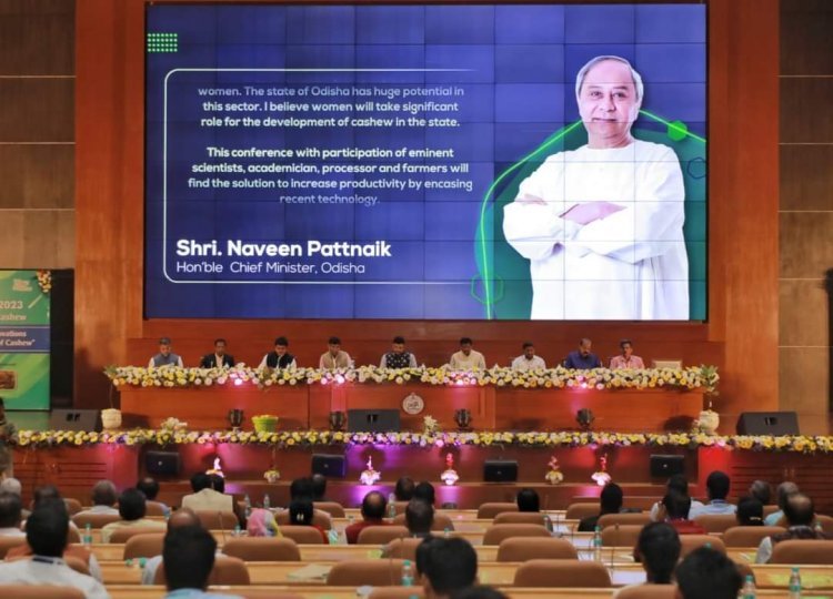 Encashing Technological Innovations for Production and Productivity of Cashew