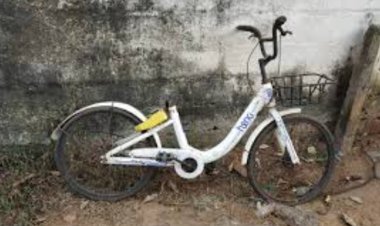 ମରଣ ମୁହଁରେ ମୋ ସାଇକେଲ୍: ଖତ ଖାଉଛି କ୍ରୁଟ କିଣିଥିବା ଶହ ଶହ ସାଇକେଲ