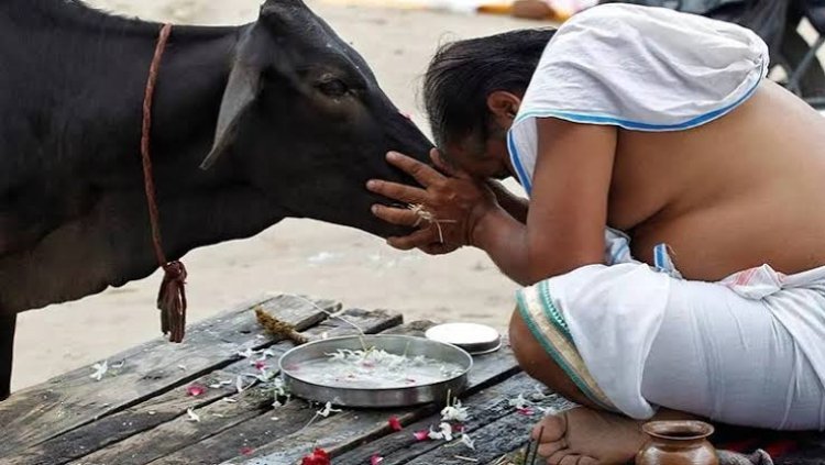 ଫେବୃୟାରୀ ୧୪କୁ ‘କାଓ ହଗ୍‌ ଡେ’ ଭାବେ ପାଳନ କରିବାକୁ ଏଡବ୍ଲ୍ୟୁବିଆଇର ଅପିଲ୍‌