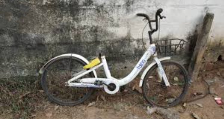 ମରଣ ମୁହଁରେ ମୋ ସାଇକେଲ୍: ଖତ ଖାଉଛି କ୍ରୁଟ କିଣିଥିବା ଶହ ଶହ ସାଇକେଲ
