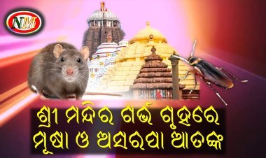 ଗର୍ଭ ଗୃହରେ ଉତ୍ପାତ କରୁଛନ୍ତି ମୂଷା-ଅସରପା ! ଚିନ୍ତା ରେ ସେବାୟତ , ଶ୍ରଦ୍ଧାଳୁ ଙ୍କ ଉଦବେଗ