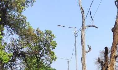 ଆଖି ପିଛୁଳାକେ ଜୀବନ ଯିବ