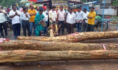 ପବିତ୍ର ଅକ୍ଷୟ ତୃତୀୟା ଅବସରରେ ଠାକୁରଙ୍କ ରଥକାଠ ଅନୁକୂଳ