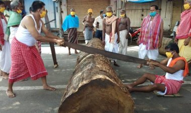 ଆଜିଠୁ ଆରମ୍ଭ ହେଲା ରଥ ନିର୍ମାଣ କାର୍ଯ୍ୟ