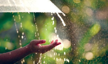 ଆଗାମୀ ୨ ଦିନ ଯାଏଁ ରାଜ୍ୟରେ ବଢିବ ବର୍ଷା