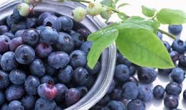 ସ୍ବାସ୍ଥ୍ୟ ପାଇଁ ଜାମୁକୋଳି ର ଫାଇଦା