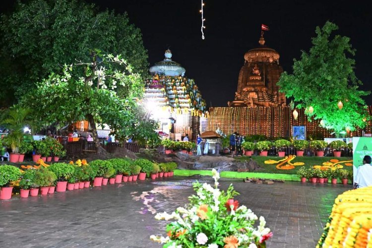 ଝଲସୁଛି ଏକାମ୍ର କ୍ଷେତ୍ର