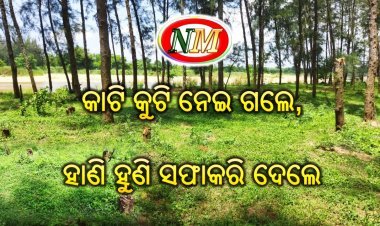 ଧ୍ୱଂସାଭିମୁଖୀ ଜଙ୍ଗଲ ପରିବେଶ