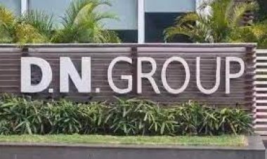 ୯୦କୋଟି ଟଙ୍କାର ଟିକସ ଫାଙ୍କିଛି ଡିଏନ୍ ଗ୍ରୁପ୍