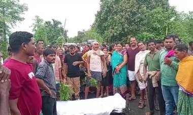 ଭାଲୁ ଆକ୍ରମଣ: ବାପା ମୃତ, ପୁଅ ଗୁରୁତର