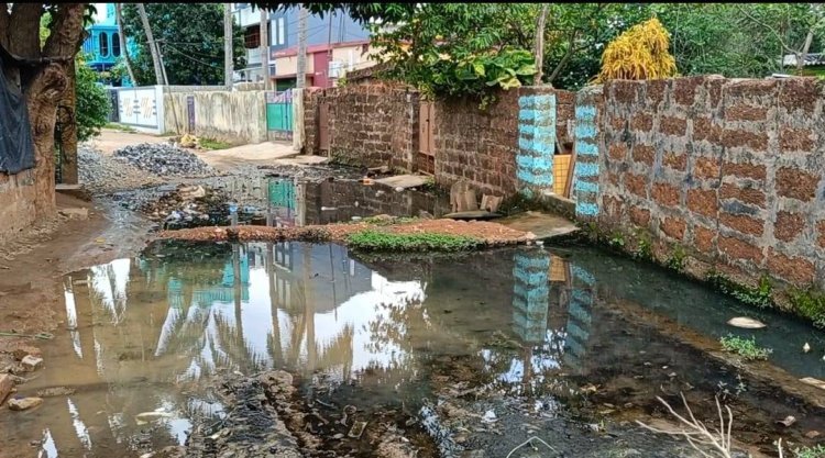 ଖୋର୍ଦ୍ଧାର ରାସ୍ତାରେ ଛୁଟୁଛି ନର୍ଦ୍ଦମା ପାଣି ଓ ବଢ଼ୁଛି ଡେଙ୍ଗୁ ଚିନ୍ତା