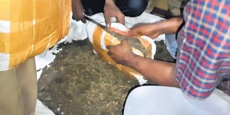 ଗାଡିରୁ ୩୦କେଜି ଗଞ୍ଜେଇ ଜବତ ସହ ୩ଜଣଙ୍କୁ ଗିରଫ କଲା ଅବକାରୀ ବିଭାଗ