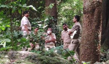 ତପ୍ତପାଣି ନିକଟ କେନାଲରୁ ଯୁବତୀଙ୍କ ଗଳିତ ମୃତ ଦେହ ଉଦ୍ଧାର