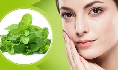 ତ୍ୱଚାକୁ କୋମଳ କରିବ ପୁଦିନା ପତ୍ର