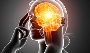 ଭୁଲା ମନ, କେମିତି କରିବେ ଉପଚାର