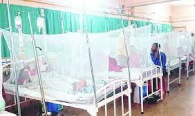 ଭୁବନେଶ୍ୱରର ସମସ୍ତ ୪ ସିଏଚସିରେ ଖୋଲିବ ଡେଙ୍ଗୁ ୱାର୍ଡ