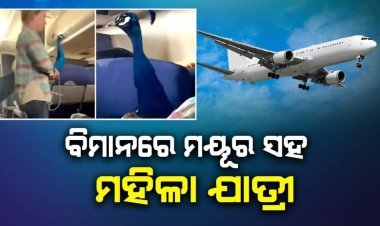 ପୁଣି ଚର୍ଚ୍ଚାକୁ ଆସିଲେ ମୟୂର ଧରି ବିମାନରେ ଚଢ଼ିଥିବା ମହିଳା ଯାତ୍ରୀ