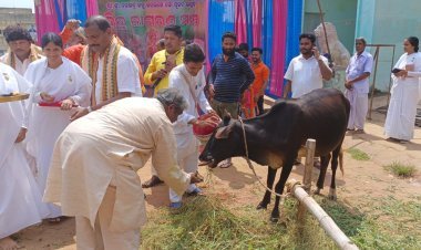 ହିନ୍ଦୁ ଜାଗରଣ ମଞ୍ଚ ତରଫରୁ ଗୋ ପୂଜନ