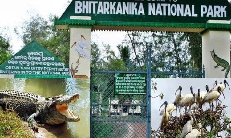 ମେ' ପହିଲାରୁ ପର୍ଯ୍ୟଟକଙ୍କ ପାଇଁ ଭିତରକନିକା ବନ୍ଦ