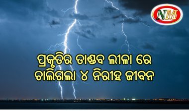 ପ୍ରକୃତିର ତାଣ୍ଡବ ଲୀଳା ରେ ଚାଲିଗଲା ୪ ନିରୀହ ଜୀବନ