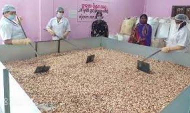 ଛତୁଆ ବଣ୍ଟନରେ ମାସକୁ ୩୭ ଲକ୍ଷ ଲୁଟ୍