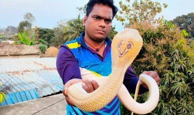 ନାରୀ ସିଏ କିନ୍ତୁ ସାହାସୀ ରିୟା ନାୟକ