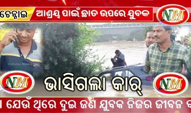 ଗଳି ପୋଲରେ ଭାସିଗଲା କାର, ଗଛରେ ଚଢ଼ିଛନ୍ତି କାର ଚାଳକ