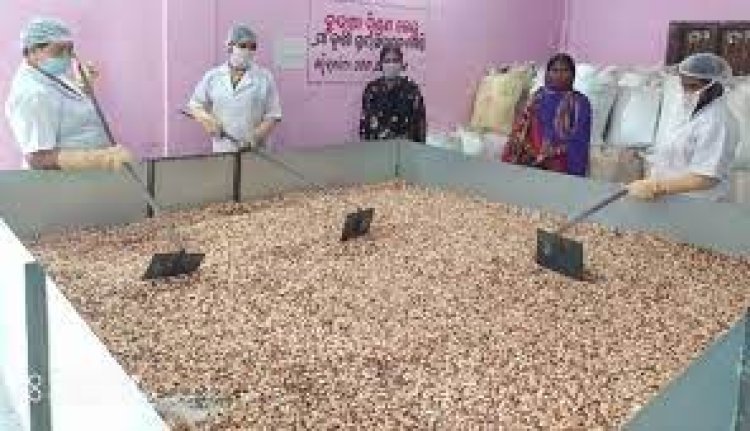 ଛତୁଆ ବଣ୍ଟନରେ ମାସକୁ ୩୭ ଲକ୍ଷ ଲୁଟ୍