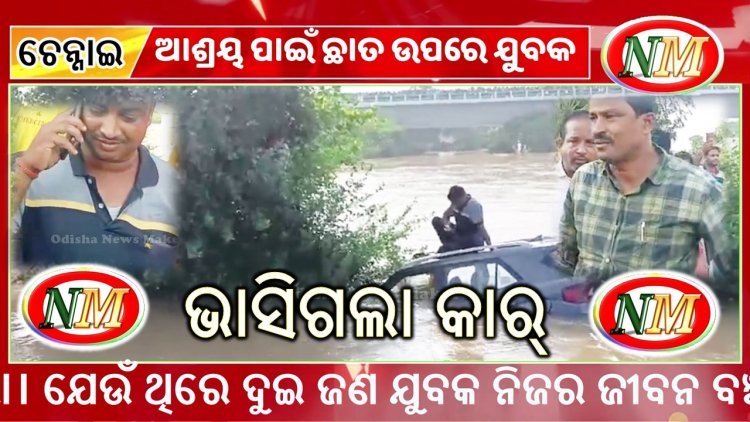 ଗଳି ପୋଲରେ ଭାସିଗଲା କାର, ଗଛରେ ଚଢ଼ିଛନ୍ତି କାର ଚାଳକ