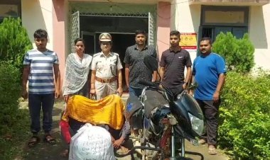 14 କେଜି  ଗଜେଂଇ ଜବତ : ଦୁଇ ଗିରଫ