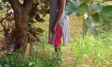 ଝୁଲନ୍ତା ଅବସ୍ଥାରେ ଯୁବତୀଙ୍କ ମୃତ ଦେହ ଉଦ୍ଧାର