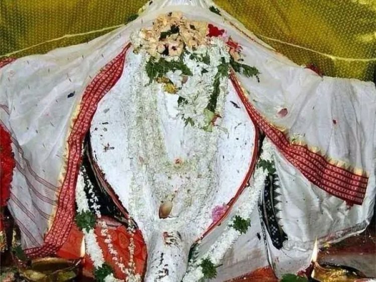 ଧବଳମୁଖୀ ବେଶରେ ଦର୍ଶନ ଦେଉଛନ୍ତି ମା'ସମଲେଶ୍ୱରୀ