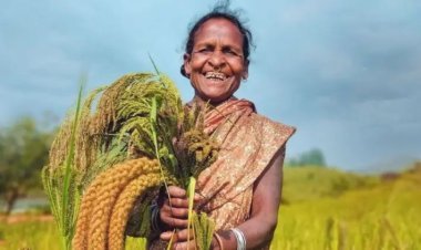 ଆଜି ହେଉଛି ମାଣ୍ଡିଆ ଦିବସ