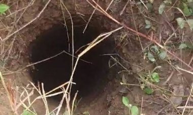 ୨୦ ଫୁଟ ଗଭୀର ବେରୱେଲ ଭିତରେ ଖସି ପଡ଼ିଲେ ବୃଦ୍ଧା
