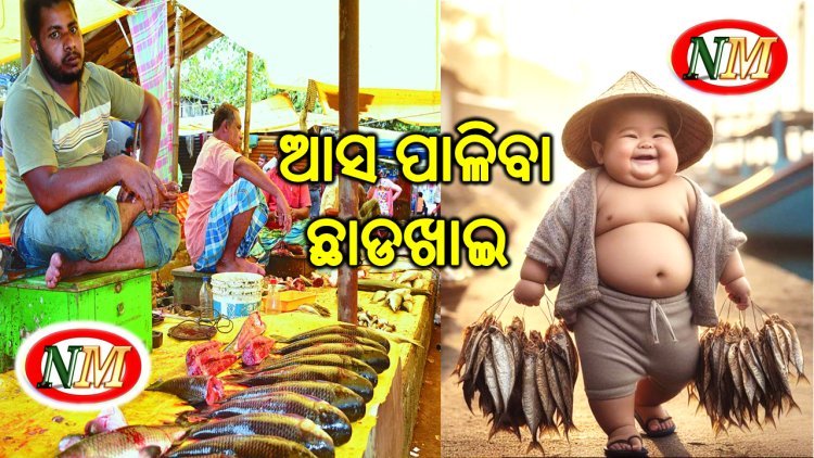 ଆଜି ଅସଲ ଛାଡ଼ଖାଇ : ମଟନ୍, ଚିକେନ୍ ଓ ମାଛ ଦୋକାନରେ ଭିଡ଼