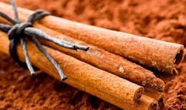 ବଜାରରେ ବିକ୍ରି ହେଉଛି ନକଲି ଡାଳଚିନି