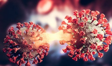 ରାଜ୍ୟରେ ବଢିବାରେ ଲାଗିଛି କରୋନା ଅକ୍ରାନ୍ତଙ୍କ ସଂଖ୍ୟା