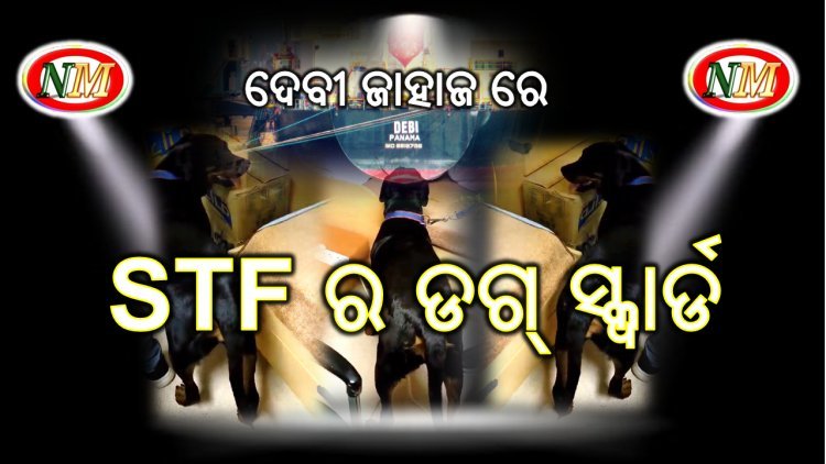 କୁକୁର ଖୋଜୁଛି କୋକେନ୍