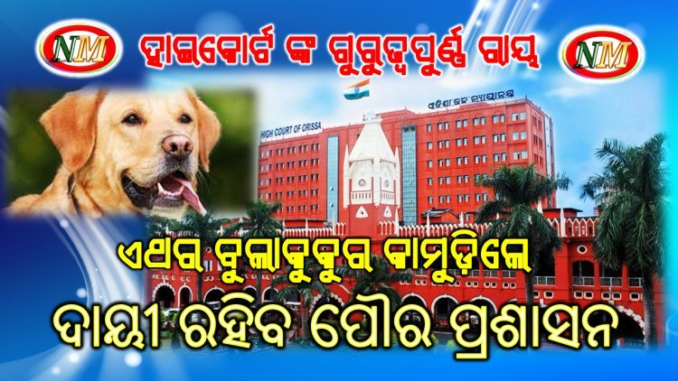 ବୁଲାକୁକୁର କାମୁଡ଼ିଲେ ଦାୟୀ ରହିବ ପୌର ପ୍ରଶାସନ