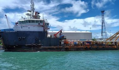 ପାରାଦୀପ ବନ୍ଦରରୁ କୋକେନ୍‌ ଜବତ ଘଟଣା: ଜାହାଜରୁ ଡେଇଁଲେ କ୍ରିଉ ସଦସ୍ୟ