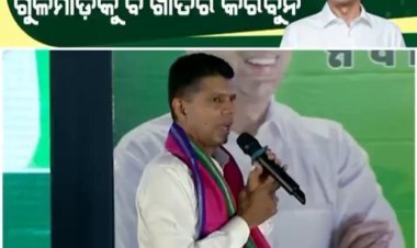 ଟମାଟୋ, ଅଣ୍ଡା କି ଗୁଳିମାଡ଼ କରନ୍ତୁ, କେହି ମୋତେ ଅଟକାଇ ପାରିବେନି : ପାଣ୍ଡିଆନ