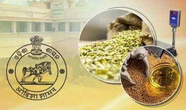 ଡାଲି ଓ ତୈଳବୀଜ ଉତ୍ପାଦନରେ ସମୃଦ୍ଧ ହେବ ଓଡ଼ିଶା