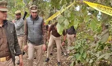 ଗର୍ଭବତୀଙ୍କୁ ୨୦ ଖଣ୍ଡ କରି କାଟିଲେ, ଜଙ୍ଗଲରେ ଫିଙ୍ଗିଦେଲେ