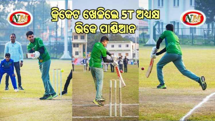 କ୍ରିକେଟ ଖେଳିଲେ ପାଣ୍ଡିଆନ