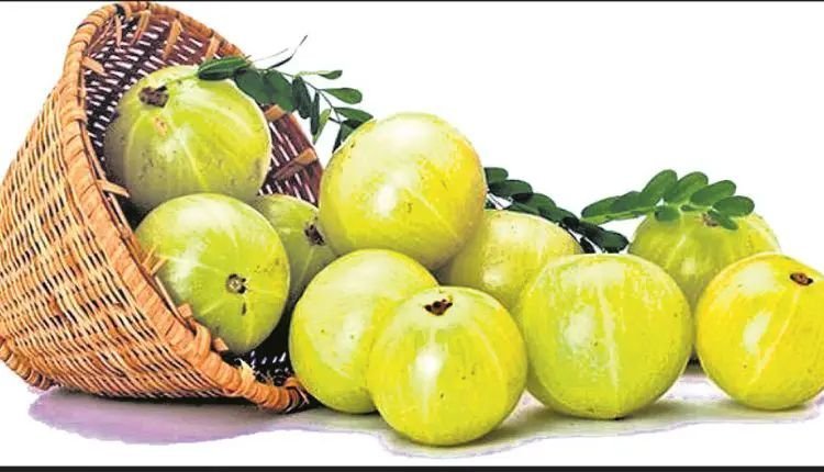 ସୁନ୍ଦର ତ୍ଵଚା ଓ କେଶ ପାଇଁ ଅଁଳା