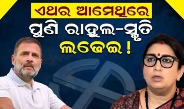 ଆମେଥି ଓ ୱାୟନାଡରୁ ଲଢିବେ ରାହୁଲ ଗାନ୍ଧି