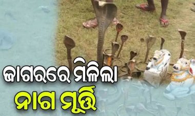 ମହାଶିବରାତ୍ରିରେ ମହାନଦୀରୁ ଶହେରୁ ଅଧିକ ନାଗମୂର୍ତ୍ତି